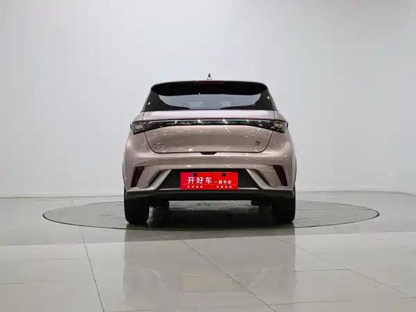 BYD Dolphin 2022