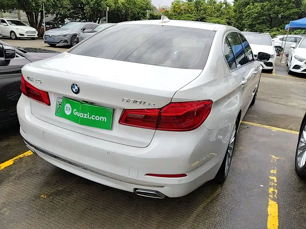 BMW 5 Series New Energy 2020
