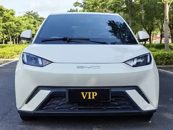 BYD Seagull 2023