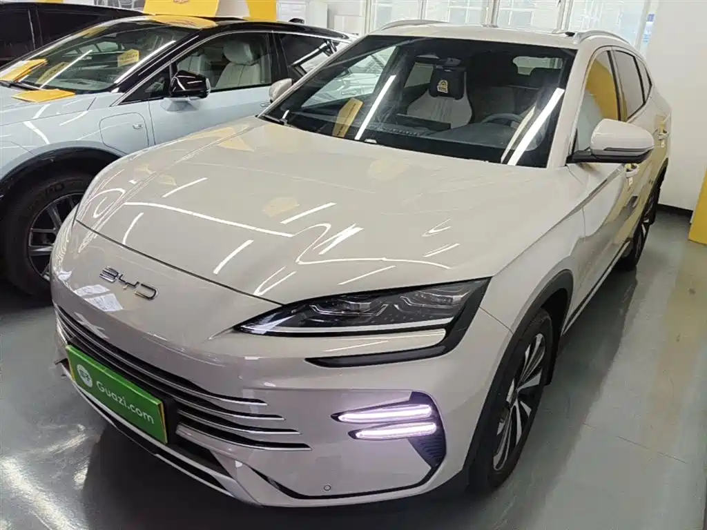 BYD PLUS New Energy 2024 — фото 1