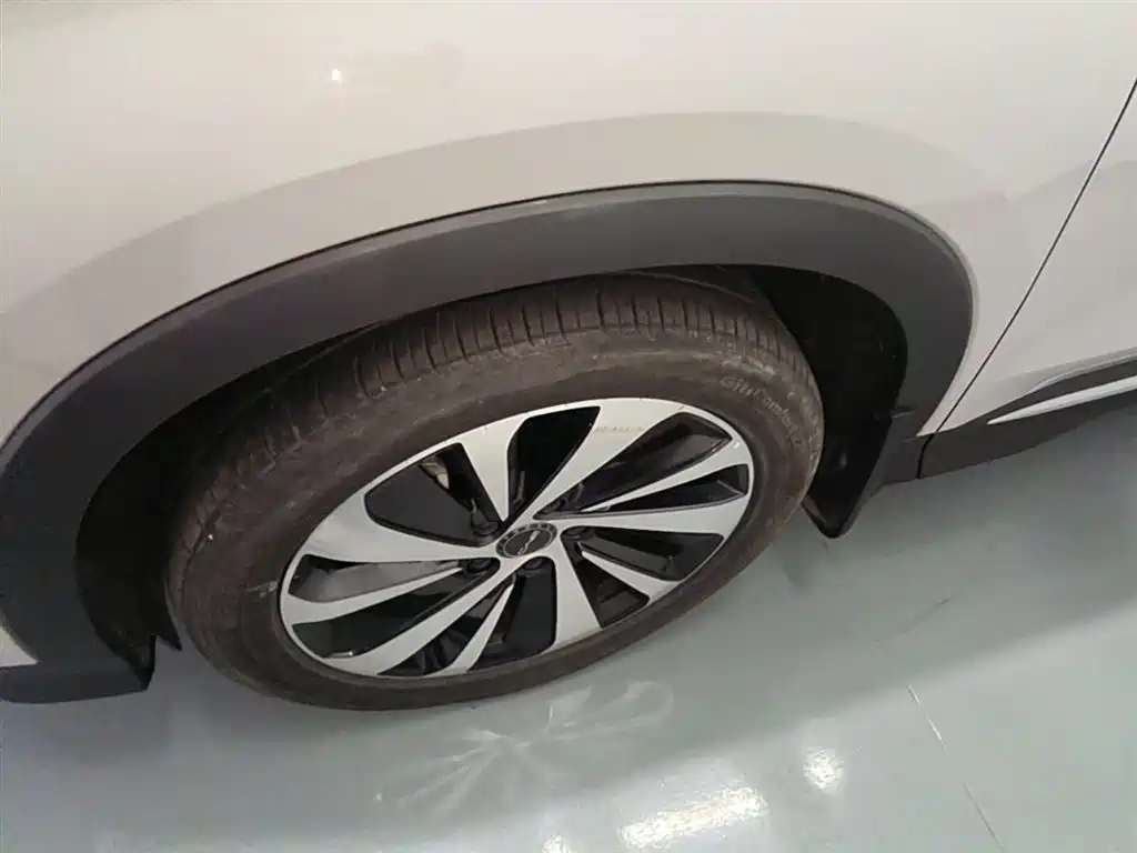 BYD PLUS New Energy 2024 — фото 23