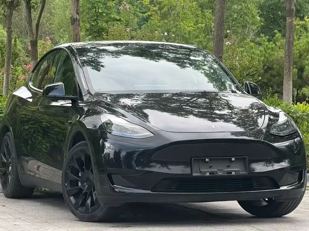 Tesla Model Y 2024 — фото 3