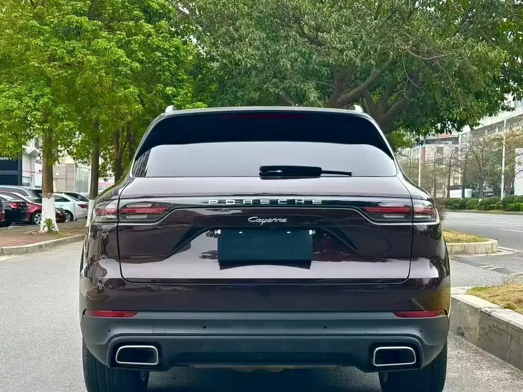 Porsche Cayenne 2020 — фото 9