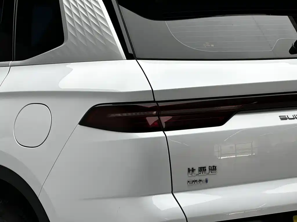 BYD Song Pro New Energy 2024 — фото 17