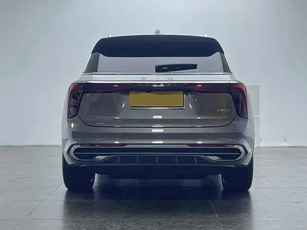 Hongqi E-HS9 2021