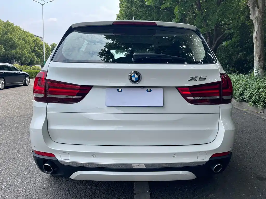 BMW X5 2017 — фото 5