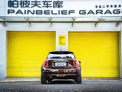 MINI MINI 2020