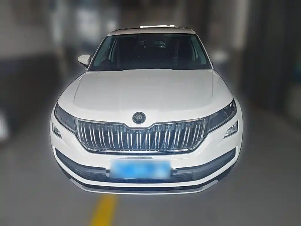 Skoda Kodiaq 2019 — фото 5