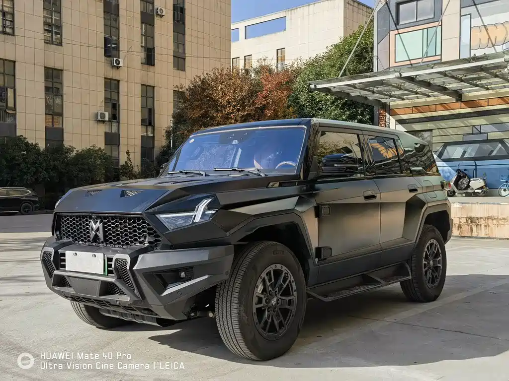 Mengshi 917 2024