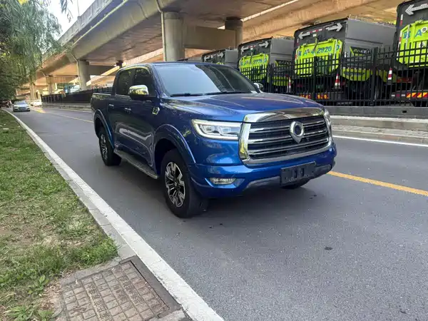 Great Wall Poer 2020