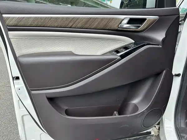 GAC Trumpchi M8 2021
