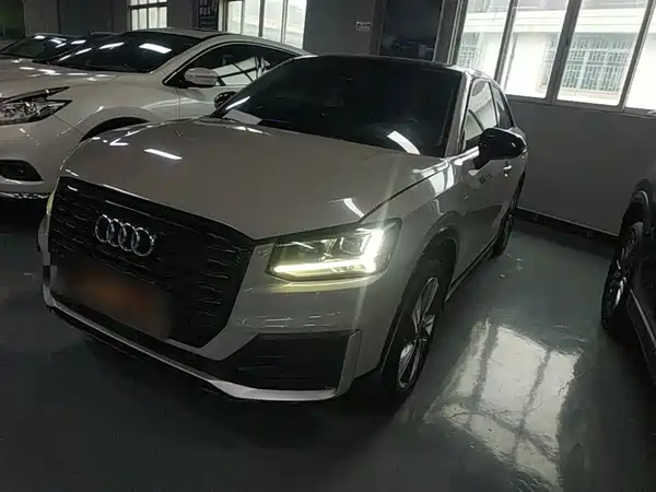 Audi Q2L 2019