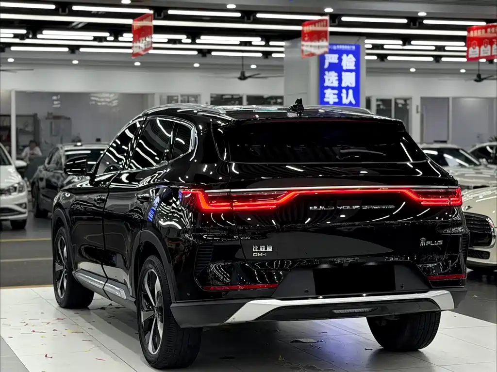 BYD PLUS New Energy 2021 — фото 4