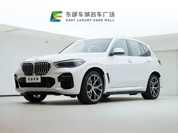 BMW X5 2022