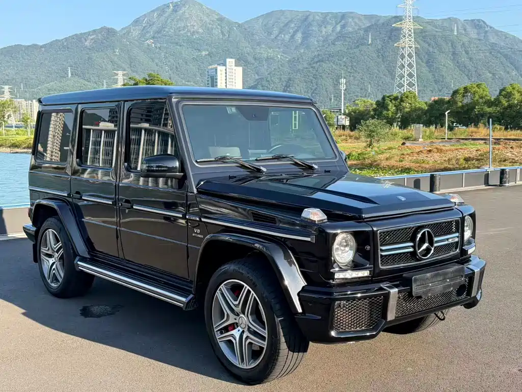Mercedes-Benz G-Class AMG 2017 — фото 3