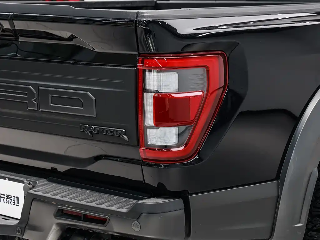 Ford F-150 Raptor 2023 — фото 9