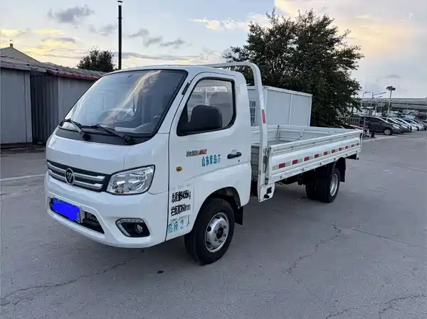 Futian Xiangling M 2021
