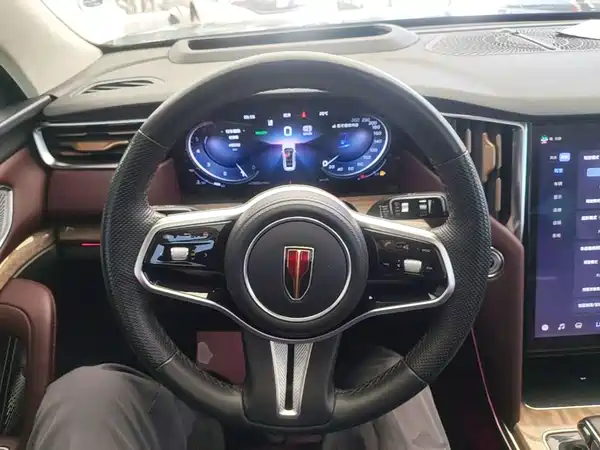 Hongqi HS7 2023