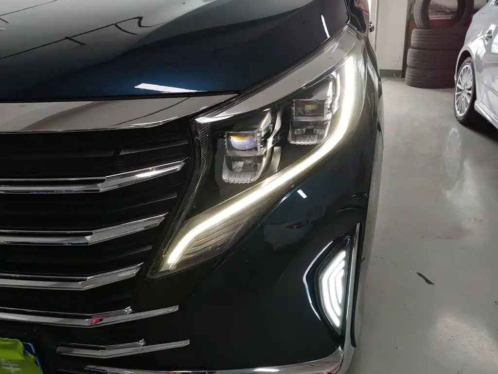 GAC Trumpchi M8 2021 — фото 24