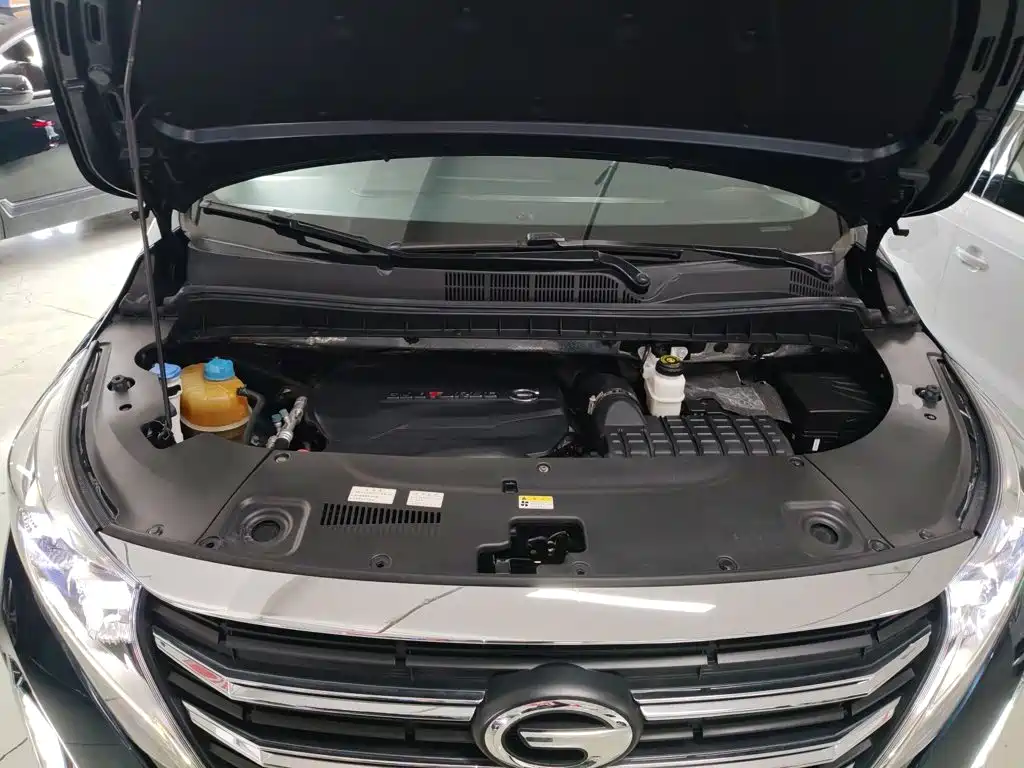 GAC Trumpchi M8 2021 — фото 20