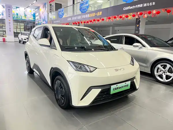 BYD Seagull 2024