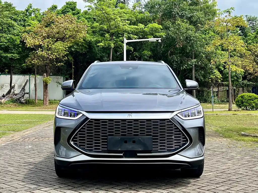 BYD Song PLUS New Energy 2022 — фото 2
