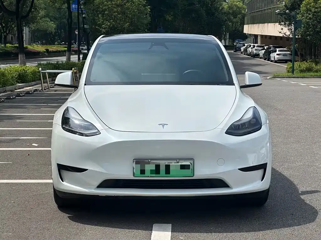 Tesla Model Y 2024 — фото 1