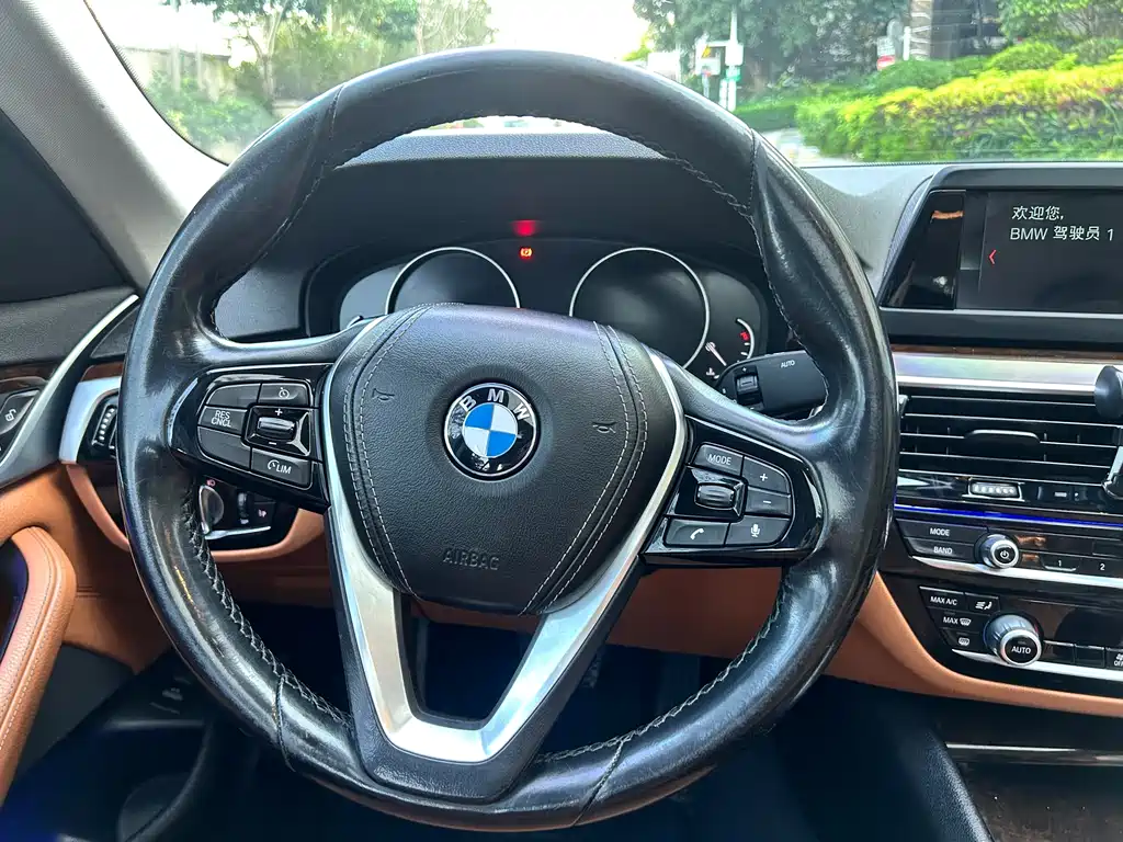 BMW 5 Series 2017 — фото 15
