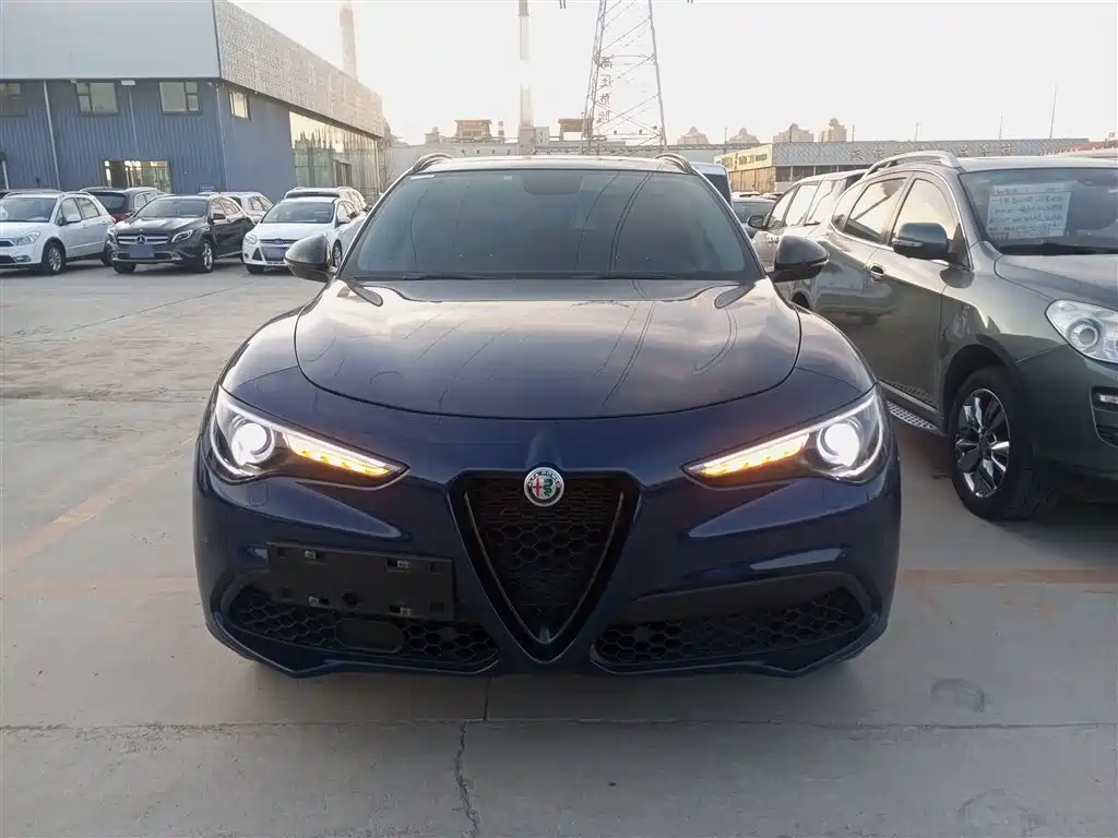 Alfa Romeo Stelvio 2020 — фото 19