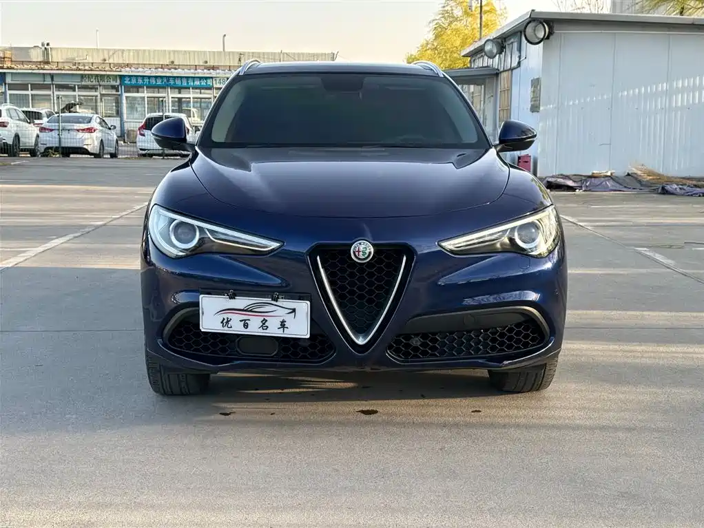 Alfa Romeo Stelvio 2018 — фото 16