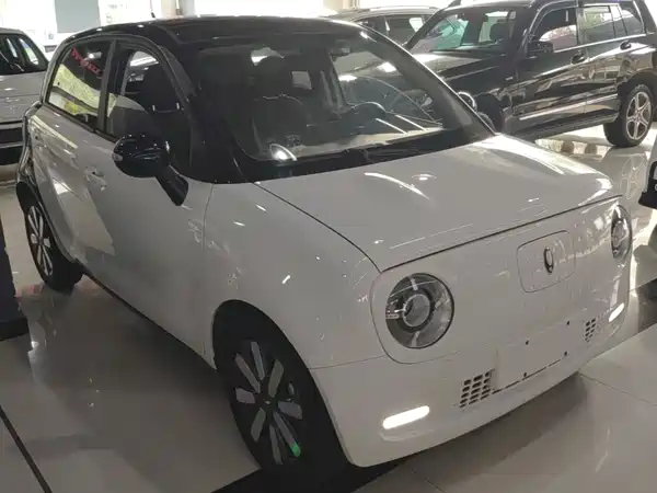 Ora Black Cat 2022