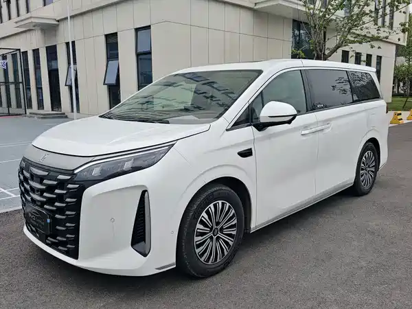 BYD Summer 2025
