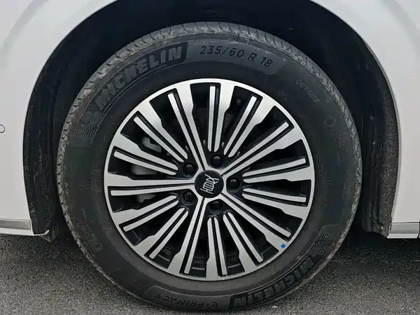 BYD Summer 2025