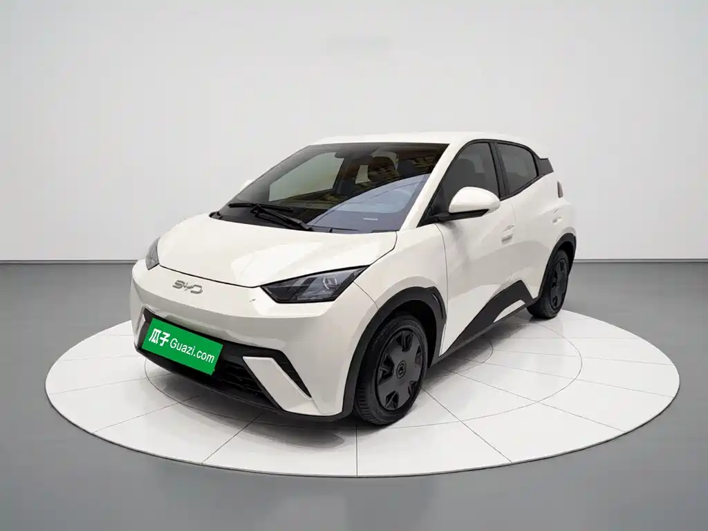 BYD Seagull 2024