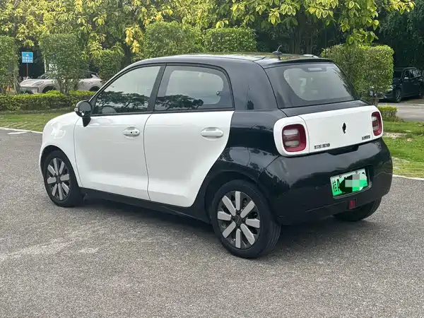 Ora Black Cat 2021