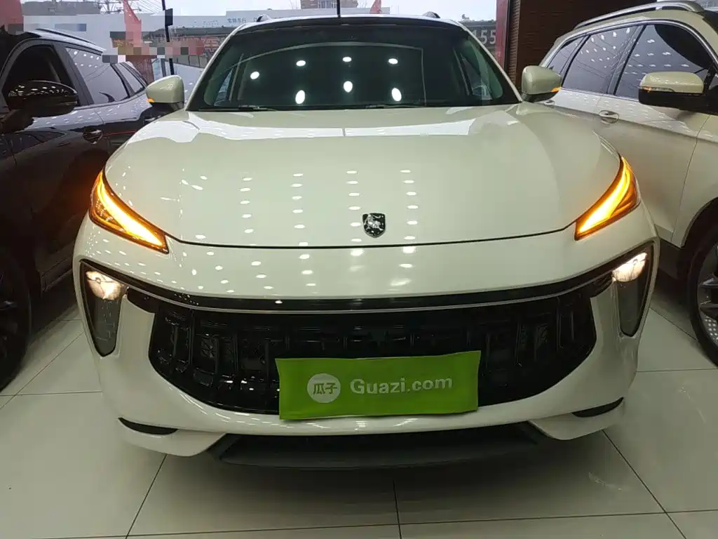 Dongfeng Fengxing T5 EVO 2024 — фото 3
