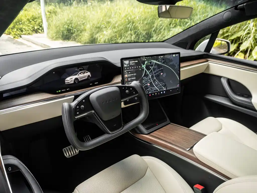 Tesla Model X 2023 — фото 10