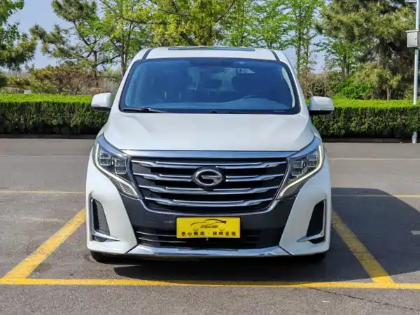 GAC Trumpchi M8 2020