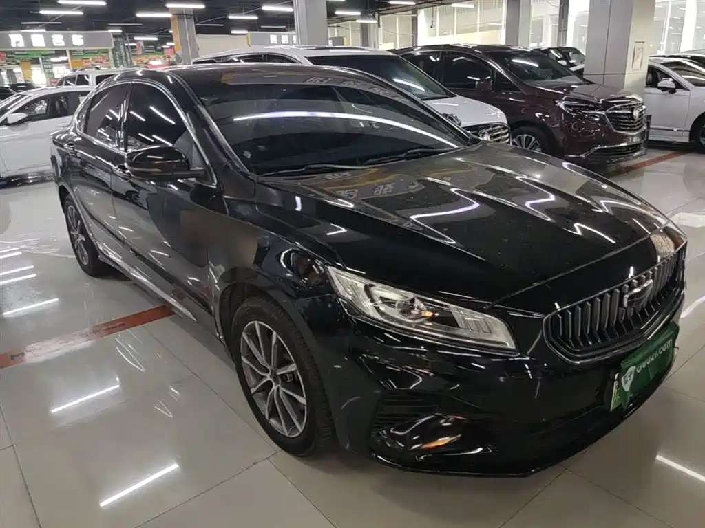 Geely Borui Hybrid 2022 — фото 4