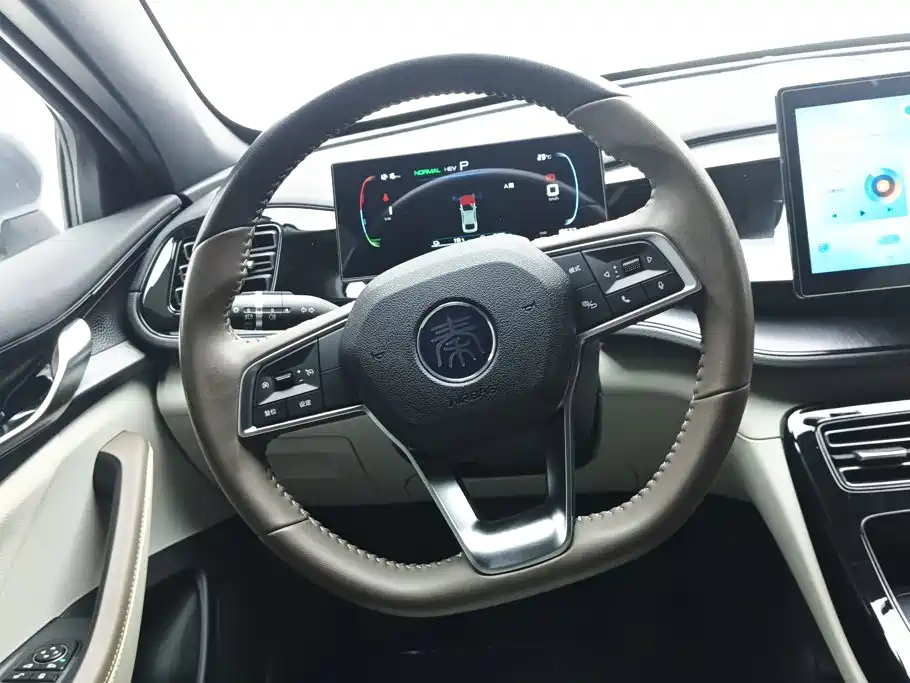 BYD Qin PLUS 2024 — фото 15