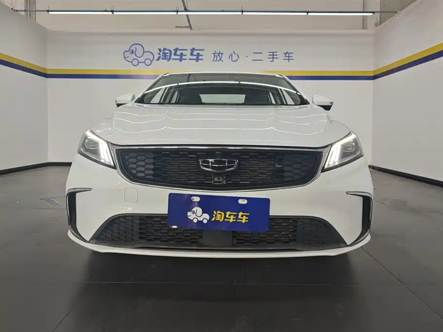 Geely Binrui 2021