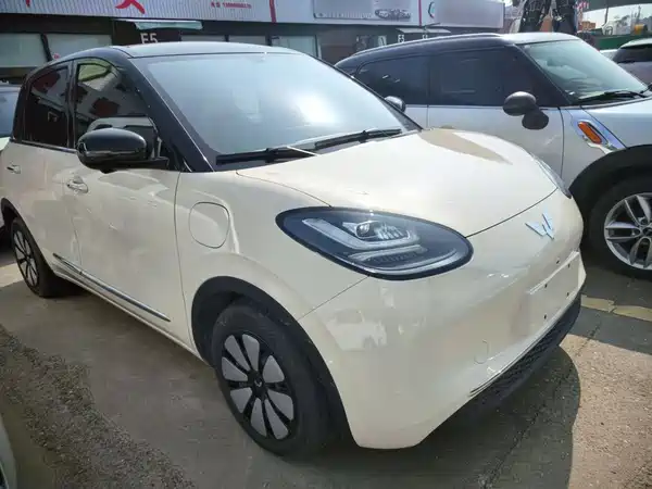 Wuling Bingo 2025