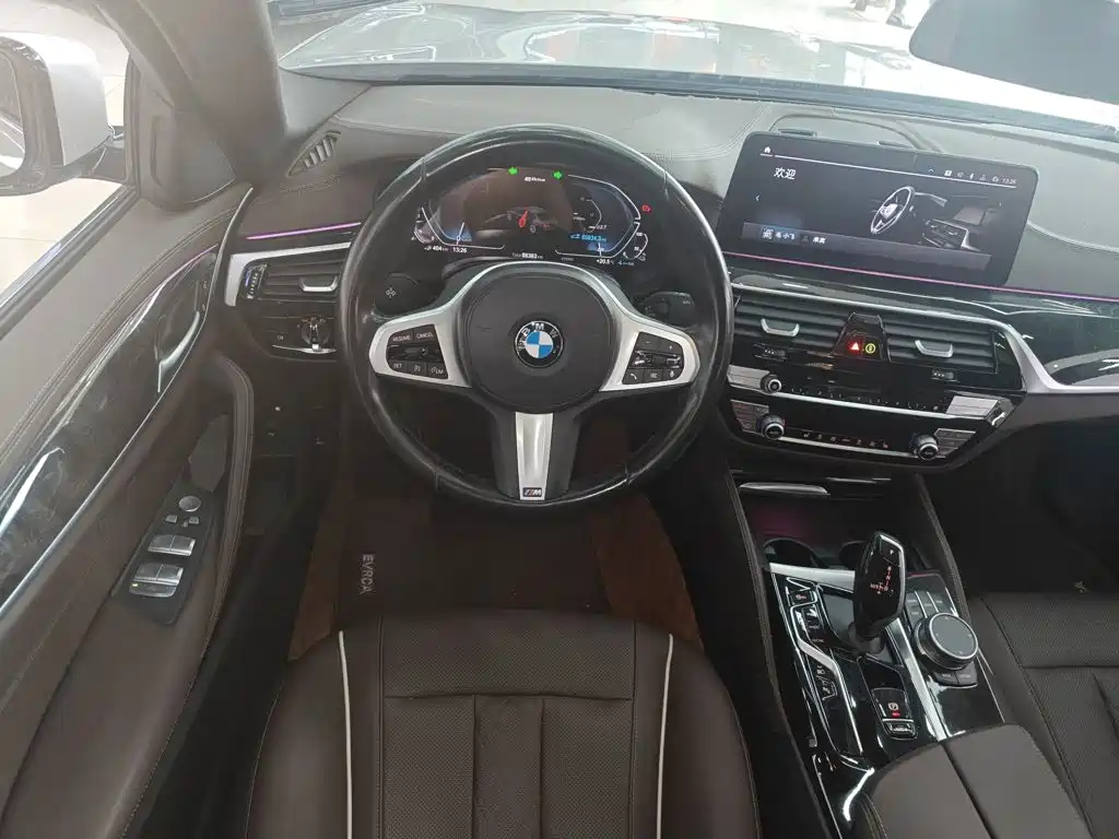 BMW 5 Series New Energy 2021