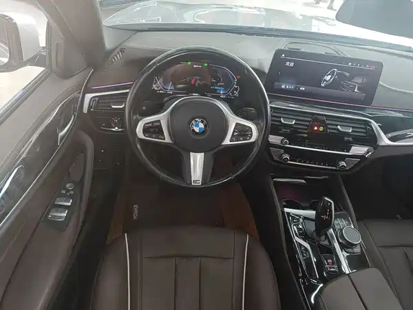 BMW 5 Series New Energy 2021