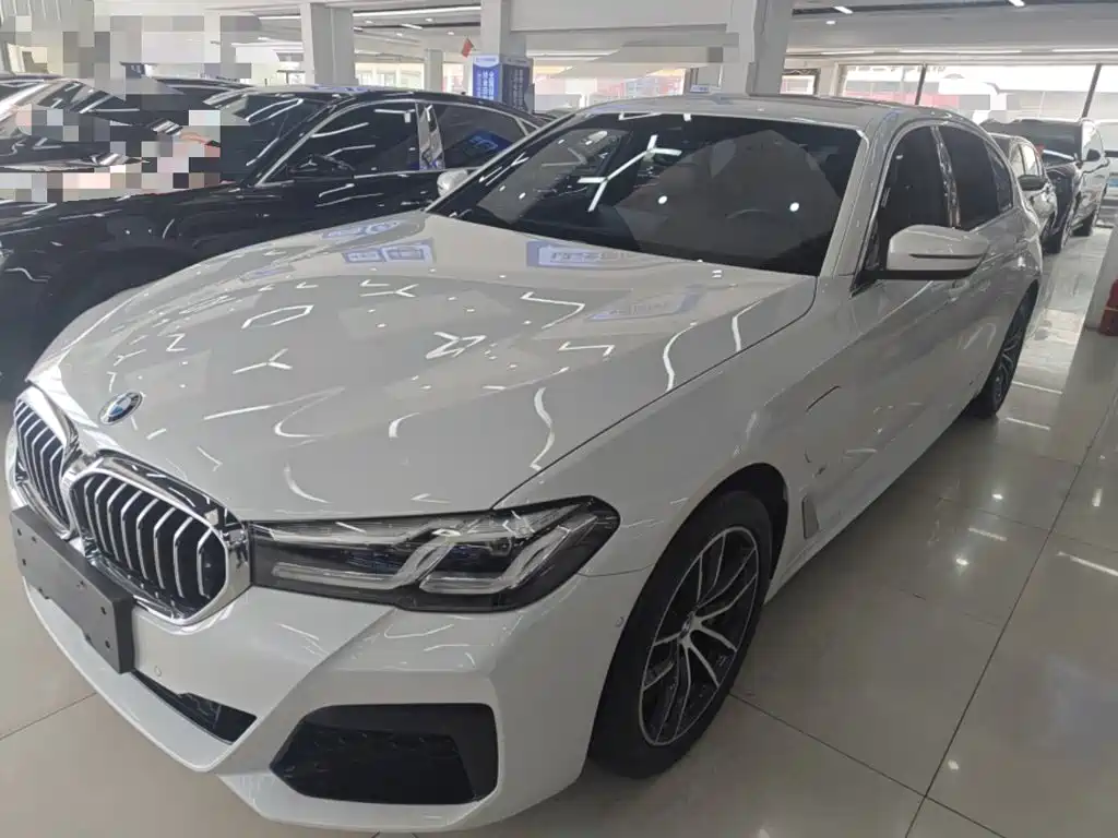 BMW 5 Series New Energy 2021