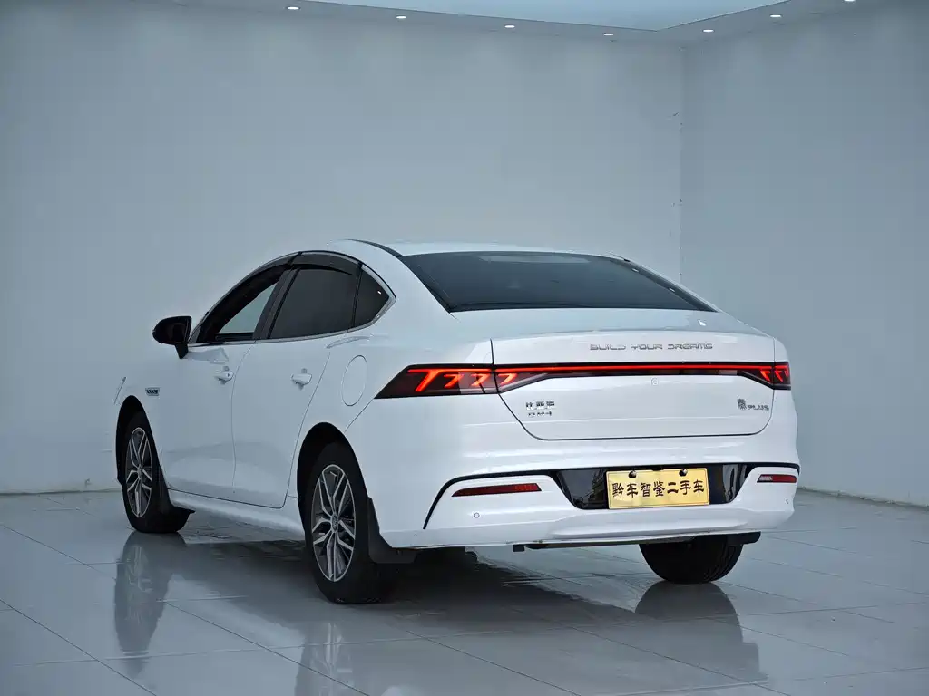 BYD Qin PLUS 2023 — фото 3