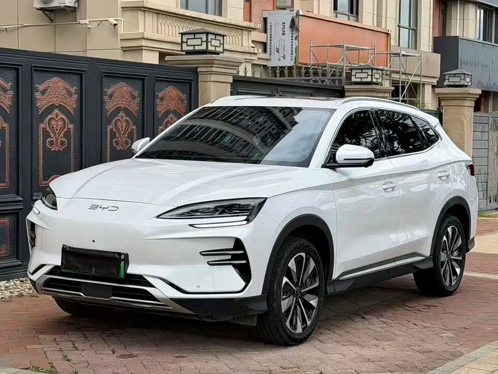 BYD PLUS New Energy 2025 — фото 1