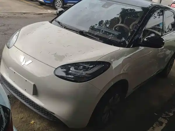 Wuling Bingo 2024