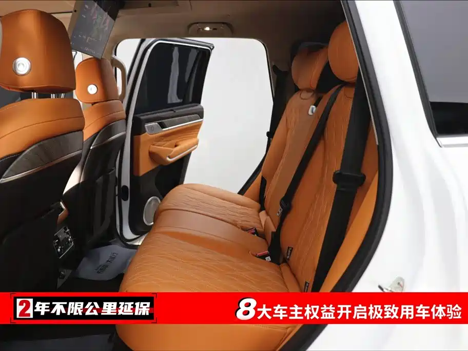 Tank 500 New Energy 2025 — фото 6