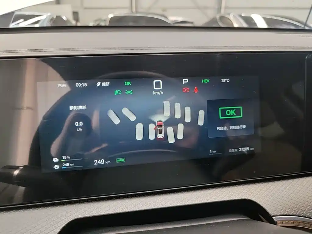 BYD Song Pro New Energy 2025 — фото 12
